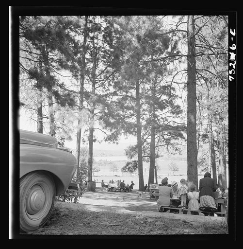Untitled photo, possibly related to: Klamath Falls, Oregon. Sunday afternoon in the city park