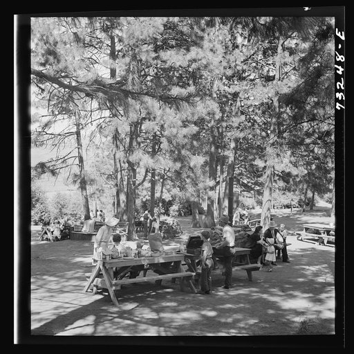 Untitled photo, possibly related to: Klamath Falls, Oregon. Sunday afternoon in the city park