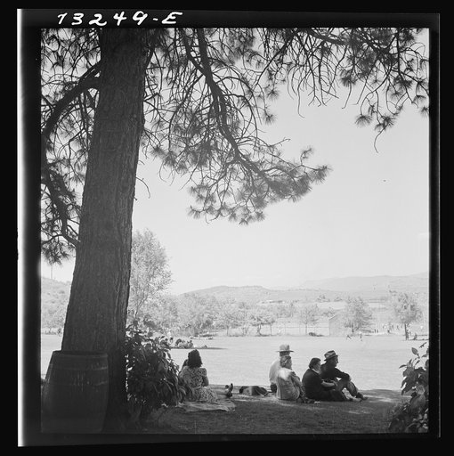 Untitled photo, possibly related to: Klamath Falls, Oregon. Sunday afternoon in the city park