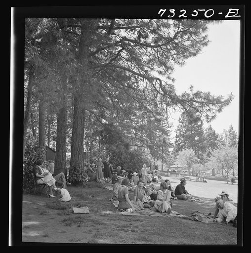 Untitled photo, possibly related to: Klamath Falls, Oregon. Sunday afternoon in the city park