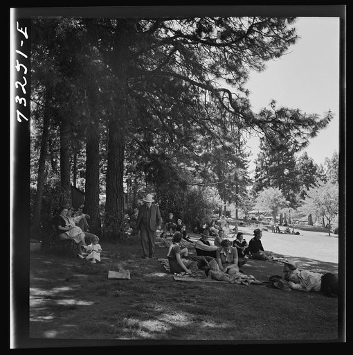 Untitled photo, possibly related to: Klamath Falls, Oregon. Sunday afternoon in the city park