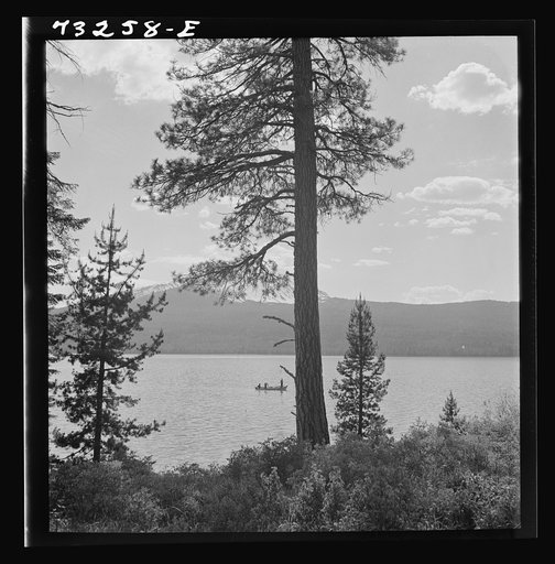 Douglas County, Oregon. Diamond Lake resort area