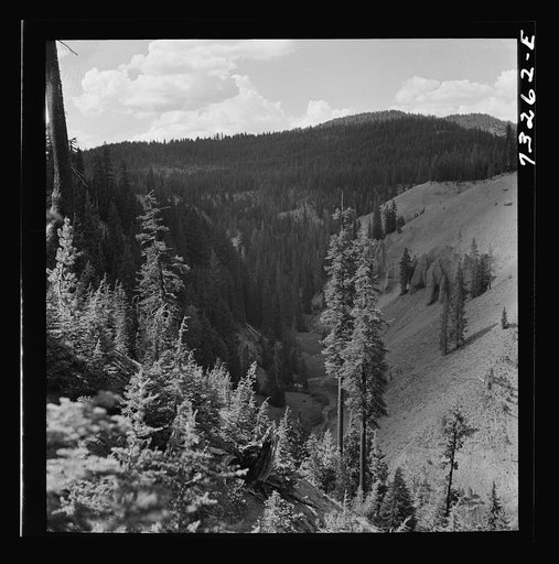 Crater Lake National Park, Klamath County, Oregon. Annie Creek Canyon