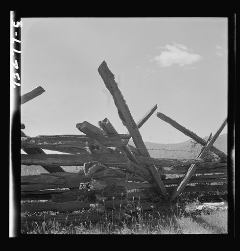 Untitled photo, possibly related to: Jackson County, Oregon. Detail of moss-covered rail fence