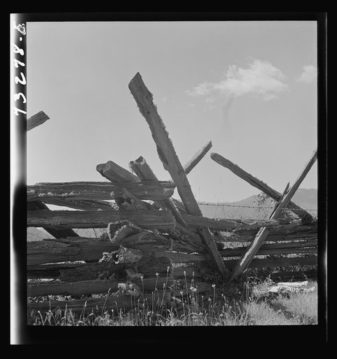 Jackson County, Oregon. Detail of moss-covered rail fence