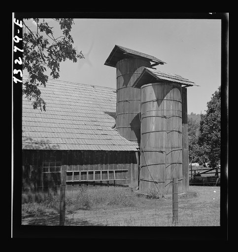 Untitled photo, possibly related to: Jackson County, Oregon. Barn and silo