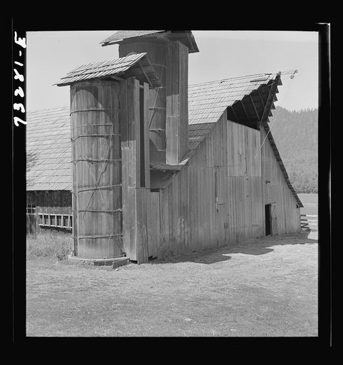Untitled photo, possibly related to: Jackson County, Oregon. Barn and silo