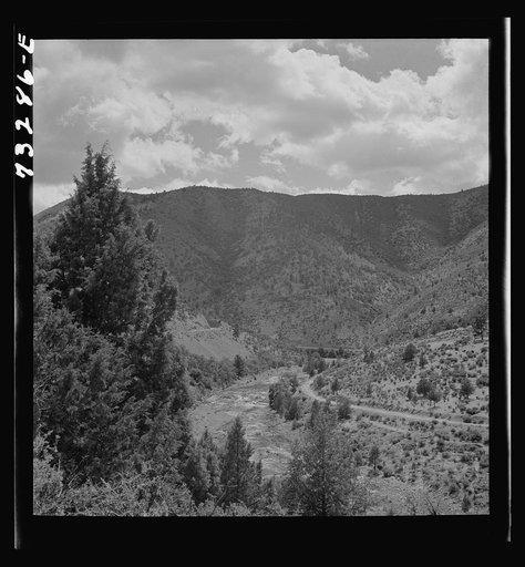 Siskiyou County, California. Mountain stream