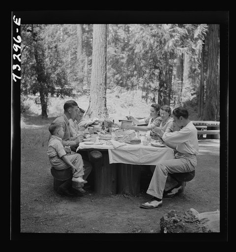 Klamath Falls, Oregon. Picnickers in city park