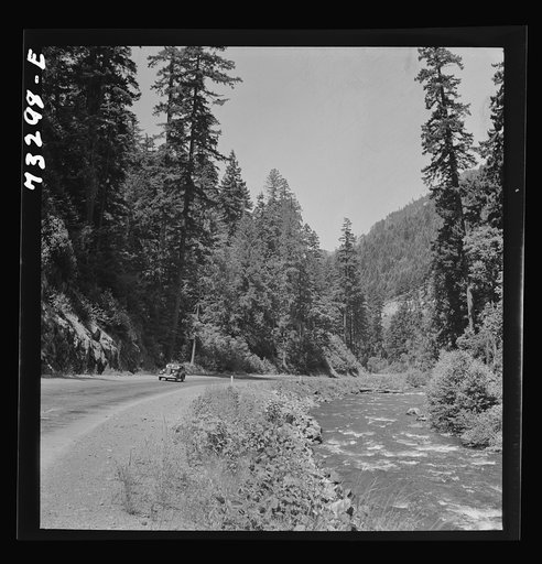 Willamette National Forest, Lane County, Oregon. Mountain stream and highway
