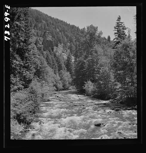Willamette National Forest, Lane County, Oregon. Salt Creek