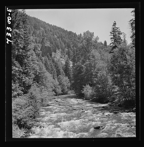 Untitled photo, possibly related to:  Willamette National Forest, Lane County, Oregon. Salt Creek