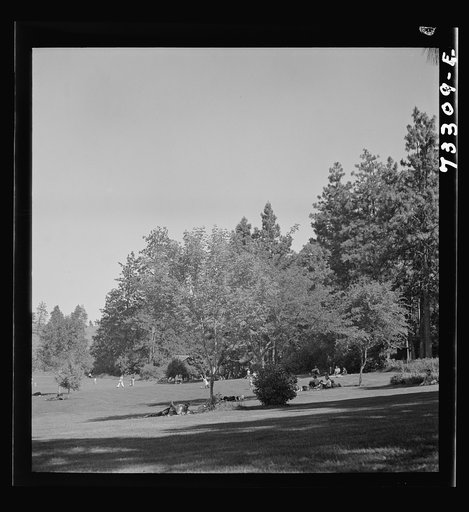 Untitled photo, possibly related to: Klamath Falls, Oregon. Picnickers at city park