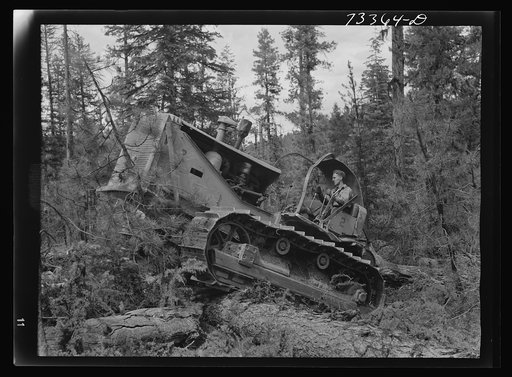 Grant County, Oregon. Malheur National Forest. Diesel caterpillar tractor snaking logs out of woods
