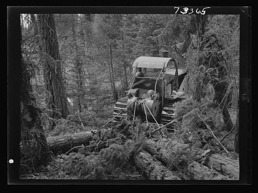 Untitled photo, possibly related to: Grant County, Oregon. Malheur National Forest. Diesel caterpillar tractor snaking logs out of woods