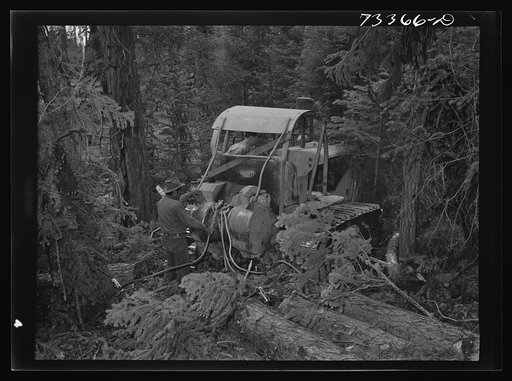 Grant County, Oregon. Malheur National Forest. Diesel caterpillar tractor snaking logs out of woods