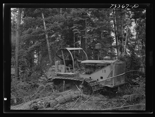 Grant County, Oregon. Malheur National Forest. Diesel caterpillar tractor snaking logs out of woods