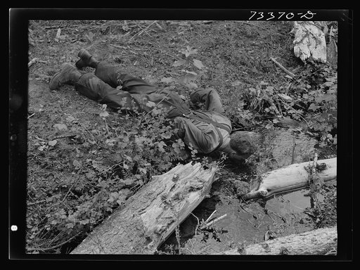 Grant County, Oregon. Malheur National Forest. Lumberjack drinking from a spring