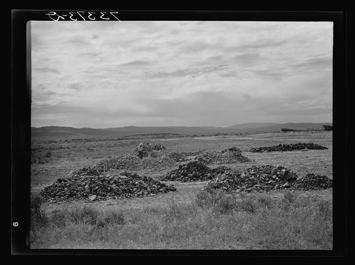 Seneca, Oregon. Piles of chrome ore on the lot of the ore purchasing depot of the metal reserves company