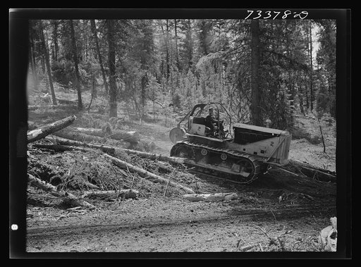 Malheur National Forest, Grant County, Oregon. Diesel caterpillar tractor snaking logs out of the woods