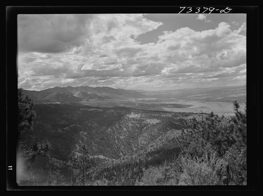 Grant County, Oregon. Malheur National Forest