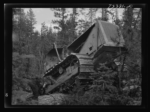Grant County, Oregon. Malheur National Forest. Diesel caterpillar tractor snaking logs out of woods