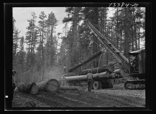 Grant County, Oregon. Malheur National Forest. Caterpillar tractors bringing logs to central point for loading on trucks