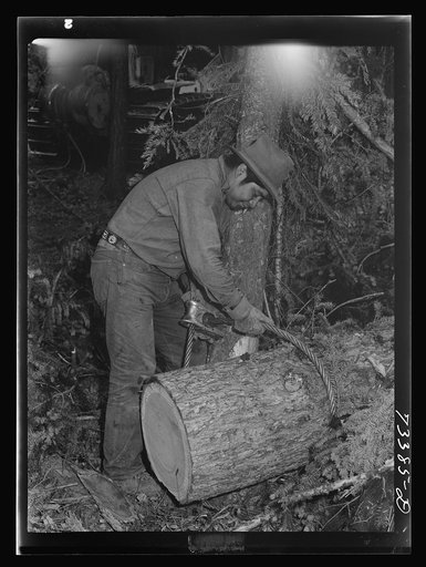 Grant County, Oregon. Malheur National Forest. Lumberjack hitching cable to log so that caterpillar tractor can snake it out