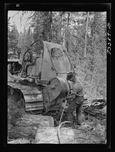 Grant County, Oregon. Malheur National Forest. Lumberjack hitching a cable to log so that caterpillar tractor can snake it out