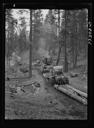 Grant County, Oregon. Malheur National Forest. Caterpillar tractors snaking logs to the place where they are loaded onto trucks