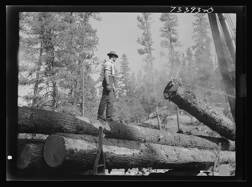 Grant County, Oregon. Malheur National Forest. Logs being loaded onto trucks
