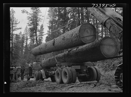 Grant County, Oregon. Malheur National Forest. Loading logs onto trucks