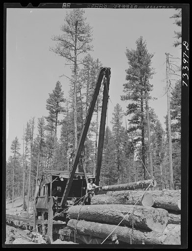 Grant County, Oregon. Malheur National Forest. A McGiffart loading machine loading logs onto flatcars