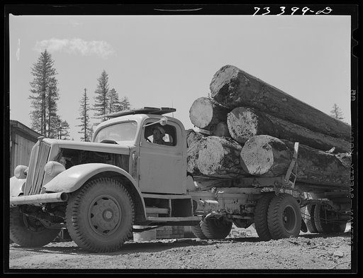 Grant County, Oregon. Malheur National Forest. Logs on truck