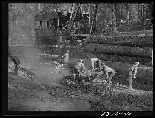 Grant County, Oregon. Malheur National Forest. Lumberjacks cleaning up debris at the McGiffart loading machine. This machine loads logs from trucks onto flatcars