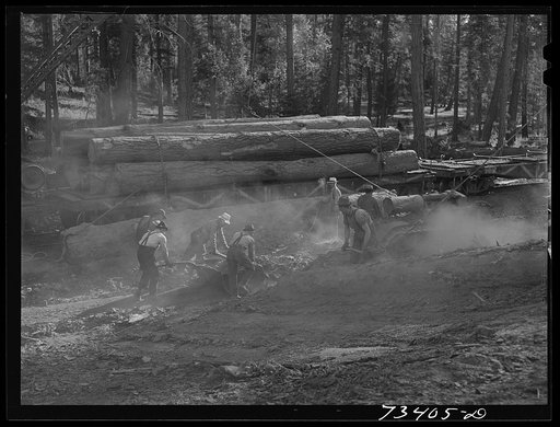 Grant County, Oregon. Malheur National Forest. Lumberjacks cleaning up debris at the McGiffart loading machine. This machine loads logs from trucks onto flatcars