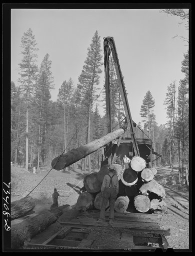 Grant County, Oregon. Malheur National Forest. A McGiffart loading machine loading logs onto flatcars