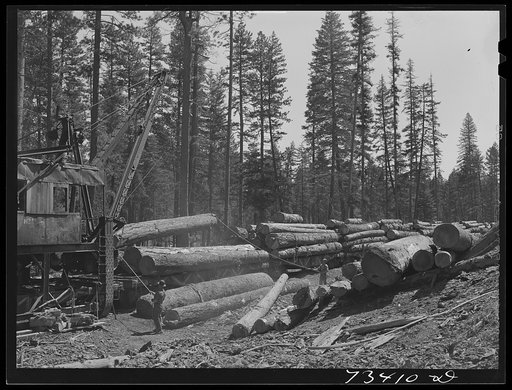 Grant County, Oregon. Malheur National Forest. A McGiffart loading machine loading logs onto flatcars