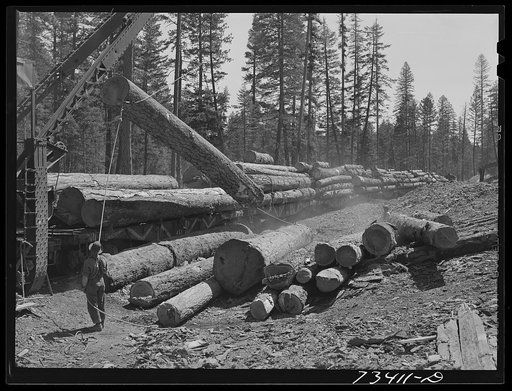 Grant County, Oregon. Malheur National Forest. A McGiffart loading machine loading machine loading logs
