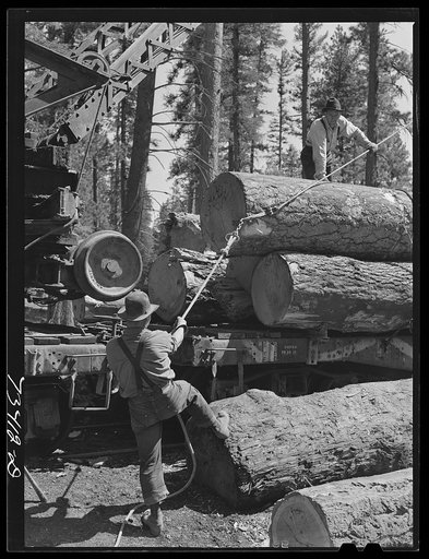 Grant County, Oregon. Malheur National Forest. Loading logs onto flatcars