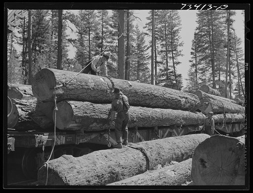 Grant County, Oregon. Malheur National Forest. Loading logs onto flatcars