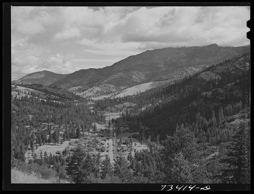Untitled photo, possibly related to: Grant County, Oregon. Malheur National Forest. Valley of the Canyon creek