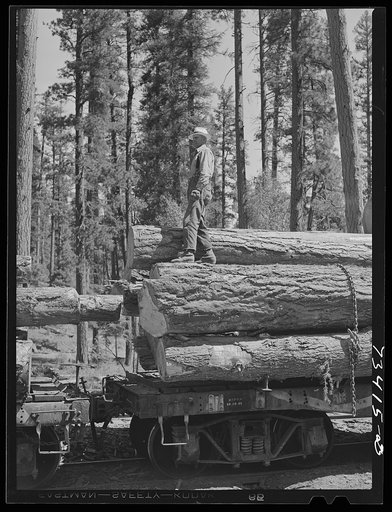 Grant County, Oregon. Malheur National Forest. Logs on flatcars