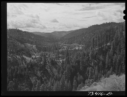 Untitled photo, possibly related to: Grant County, Oregon. Malheur National Forest. Valley of the Canyon creek
