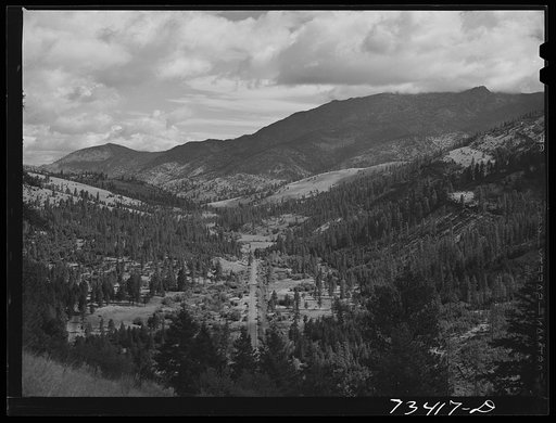 Grant County, Oregon. Malheur National Forest. Valley of the Canyon creek
