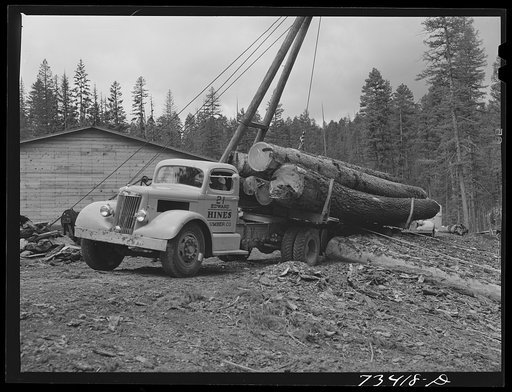 Grant County, Oregon. Malheur National Forest. Truckloads of logs