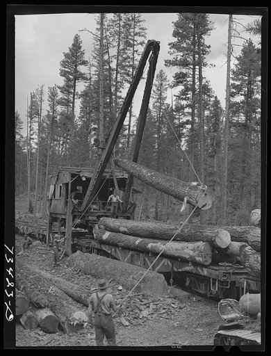 Untitled photo, possibly related to: Grant County, Oregon. Malheur National Forest. Loading logs from trucks to flatcars