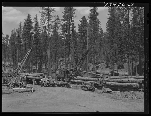 Grant County, Oregon. Malheur National Forest. Loading logs from trucks to flatcars