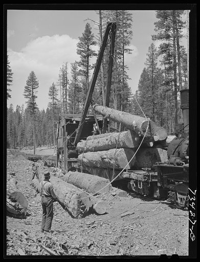 Grant County, Oregon. Malheur National Forest. Loading logs from trucks to flatcars
