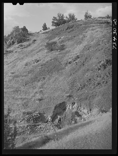 Grant County, Oregon. Miners digging chrome ore